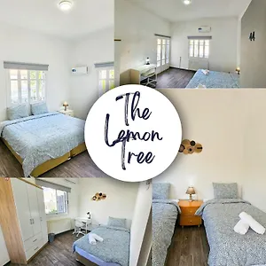 Auberge de jeunesse The Lemon Tree, Larnaca